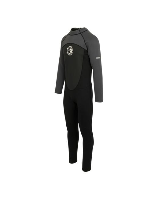 Regatta Gray Full Wetsuit for men
