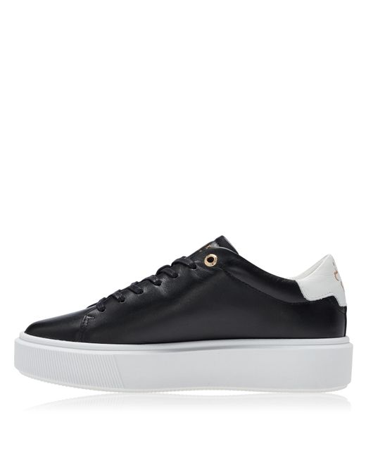 Ted Baker Blue Lornea Trainers