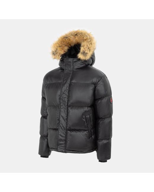 Loyalti Black Shadow Quilted Short Puffer Jacket for men