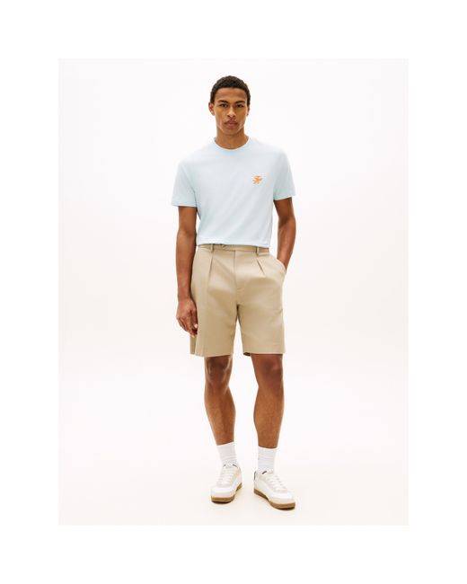 Tommy Hilfiger Blue T-Shirt for men