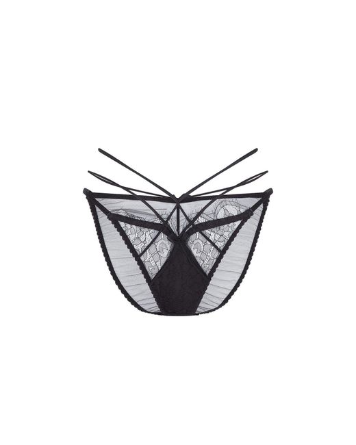 Agent Provocateur Brown Halley Full Brief