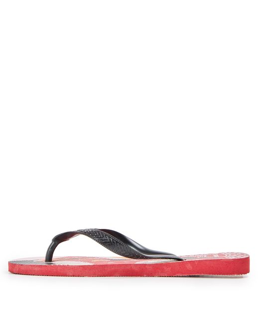 Havaianas Blue Flip Flops