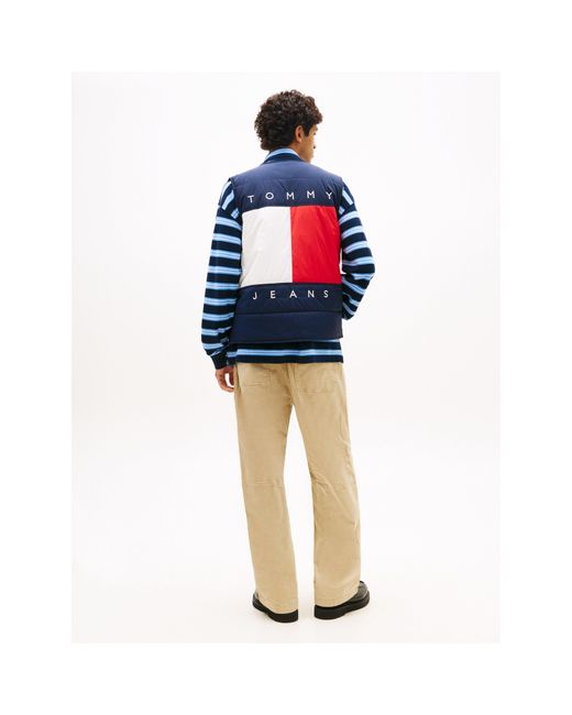Tommy Hilfiger Blue Gilet for men