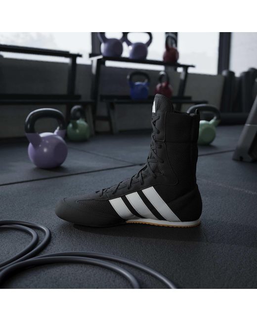 Adidas Black Box Hog Cl for men