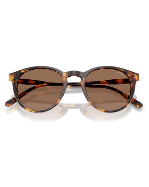 Polo Ralph Lauren Brown Shiny Semi Trasp 0Ph4110 Phantom Sunglasses for men