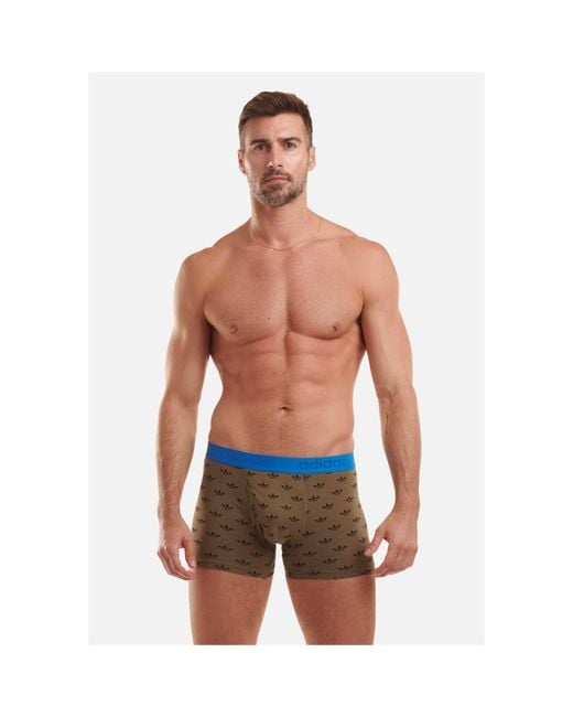 Adidas Originals Blue Originals Comfort Flex Cotton 2-Pack Boxer for men