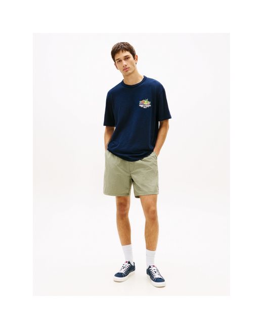Tommy Hilfiger Blue T-Shirt for men