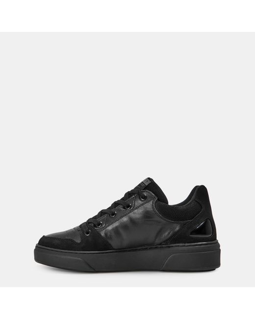 Steve Madden Black Kingpin Low Top Lace-Up Sneakers for men
