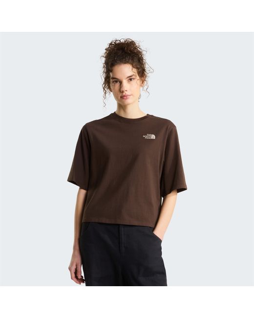 The North Face Brown Tnf Hike Picnic Boxy Graphic Tee