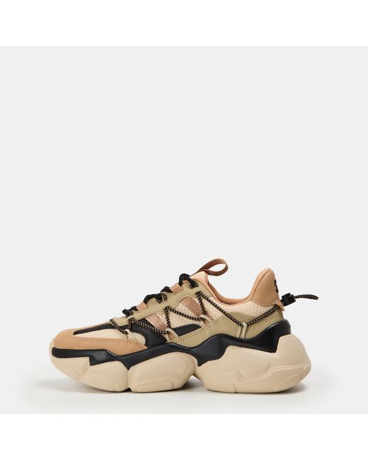 Steve Madden Natural Spectator Low-Top Trainers