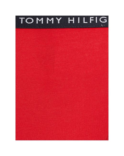 Tommy Hilfiger Blue 3 Pack Briefs