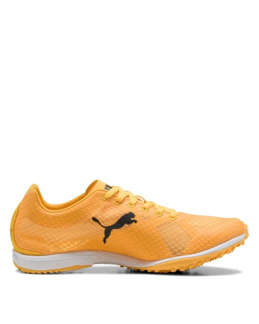 PUMA Orange Evospeed Haraka 8 Off-Road Trail Running Shoes for men