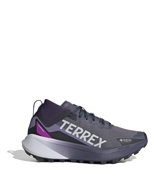 Adidas Blue Terrex Agravic Gtx Trail Running Shoes