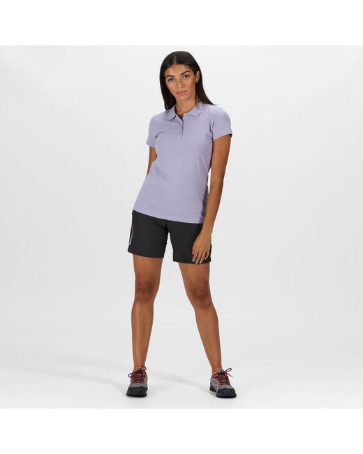 Regatta Purple Sinton Regular Fit T-Shirt