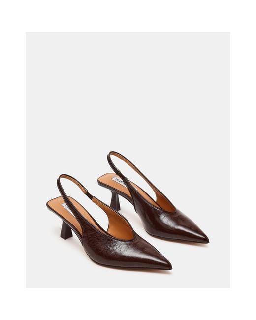 Steve Madden Brown Madden Alari 50H Ld64