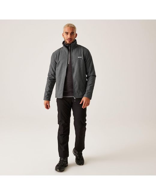Regatta Gray Cera V for men