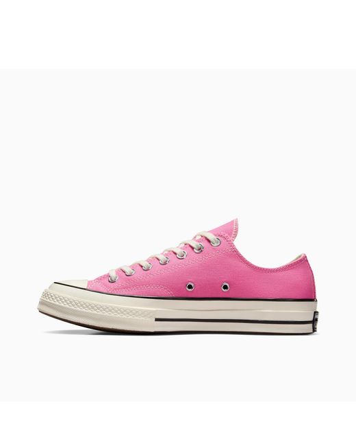 Converse Pink Adults Chuck 70 Canvas Trainers