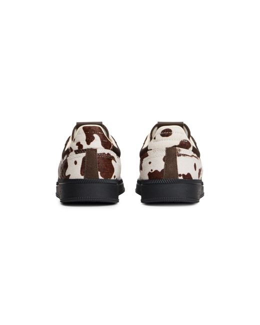 Tommy Hilfiger Black Greenwich Calf Low-Top Trainers