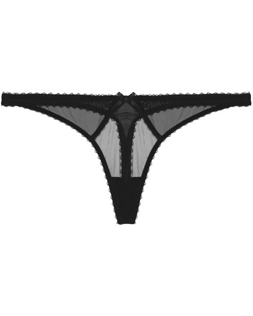 Playful Promises Brown Grace Thong