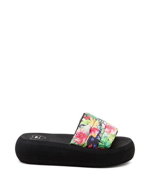 Rocket Dog Black Splash Bahama Sandal