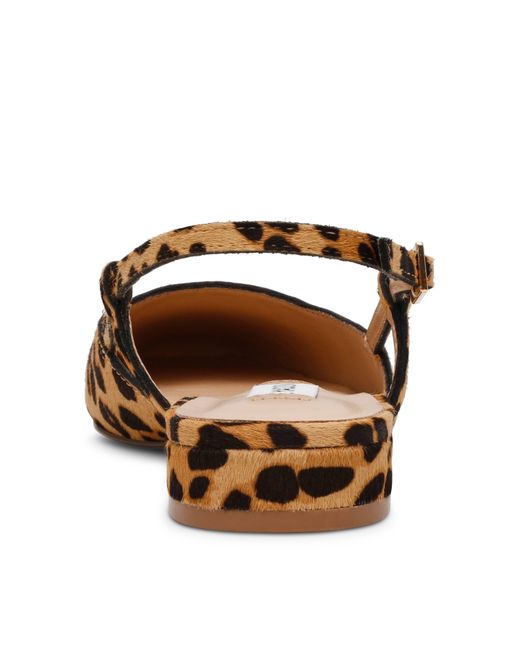 Steve Madden Brown Belinda Flat Shoes