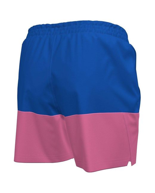 Nike Blue Swim Shorts for men