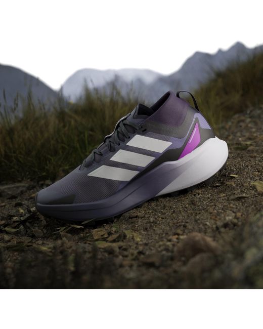Adidas Blue Terrex Agravic Gtx Trail Running Shoes