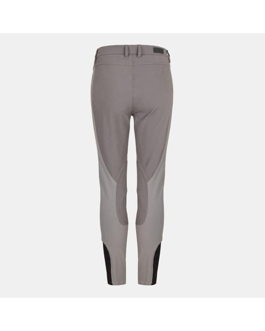 Musto Gray Ess Breeches Fw