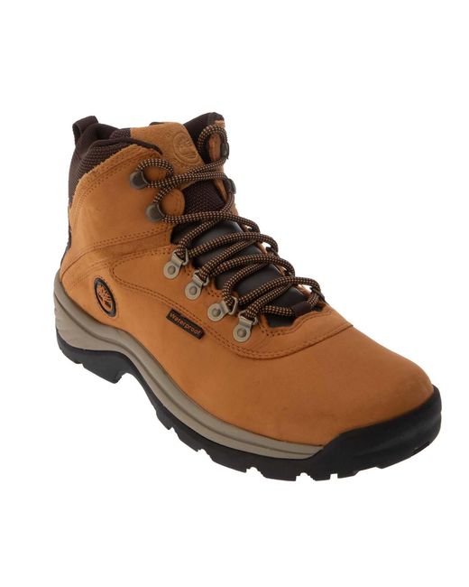 Timberland Brown Ledge Waterpoof Mid Hiking Boots for men