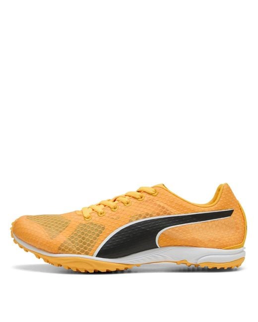 PUMA Orange Evospeed Haraka 8 Off-Road Trail Running Shoes for men