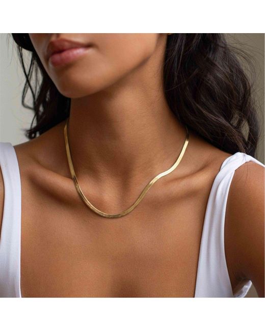 D.Louise Metallic Snake Chain Necklace