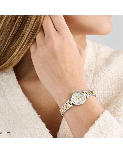 Ted Baker Metallic Jolyye Quartz Analogue Watch