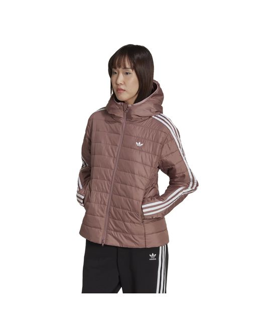 Adidas Originals Brown Premium Slim Hooded Long Sleeve Slim Fit Short Puffer Jacket