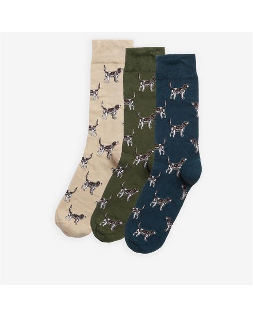 Barbour Blue Pointer Dog Socks Gift Box for men