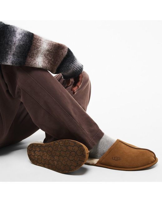 Ugg Brown Scuff Mule Slippers for men
