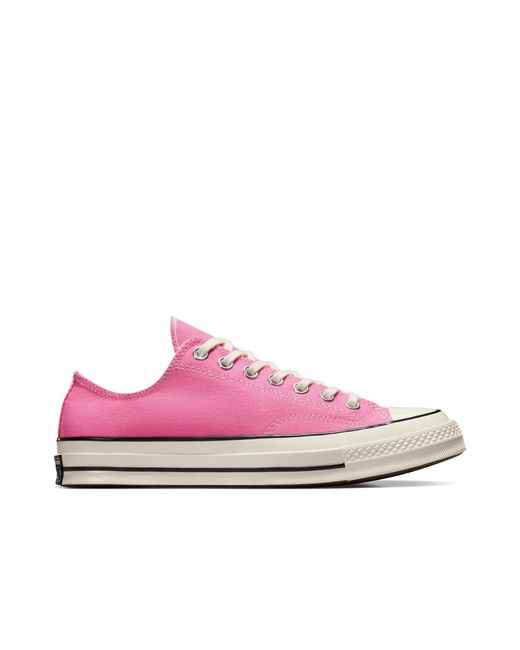 Converse Pink Adults Chuck 70 Canvas Trainers