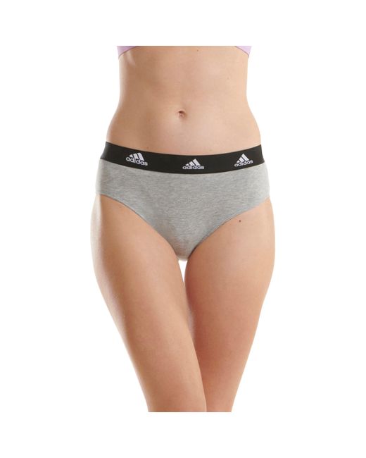 Adidas Purple Tai Full Brief Underwear
