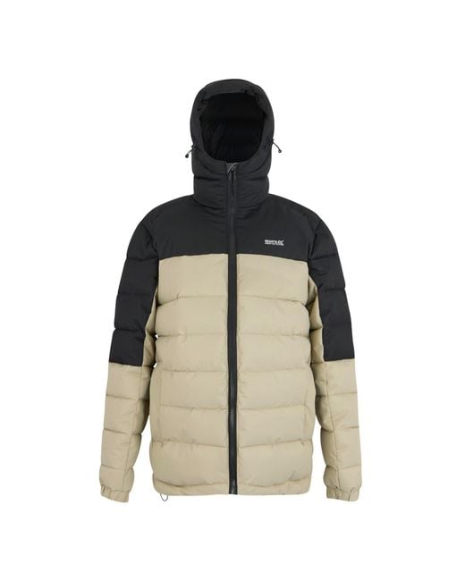 Regatta Multicolor Aldthorn Water-Resistant Quilted Jacket for men
