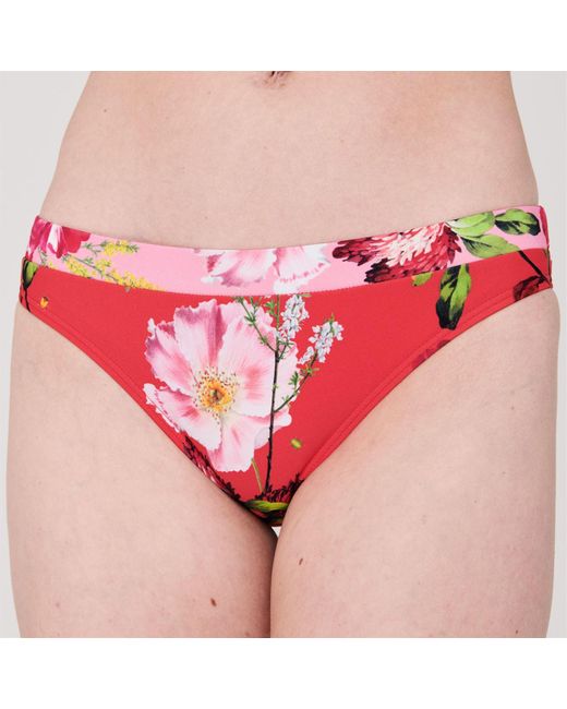 ted baker berry sundae bikini