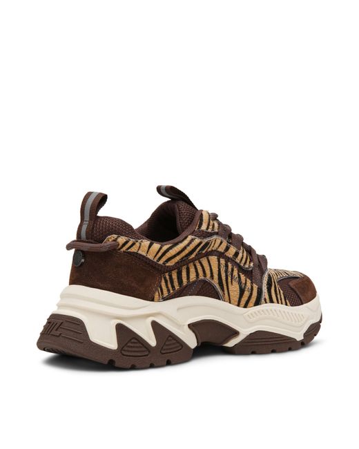 Steve Madden Brown Animates Chunky Trainers