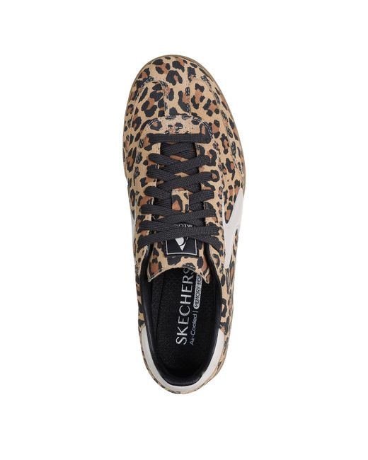 Skechers Brown Hotshot
