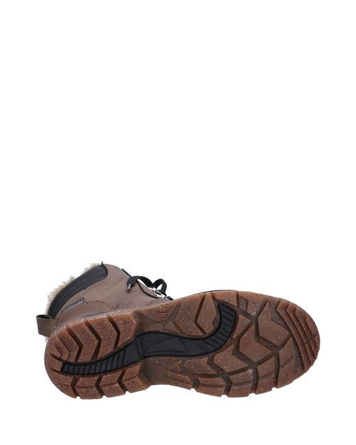 Cotswold Brown Hatfield Wellingtons for men