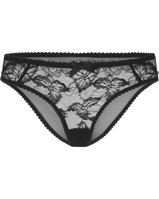 Agent Provocateur Brown Leni Full Brief