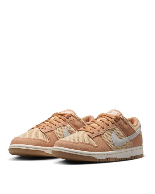 Nike Brown Dunk Low Trainers