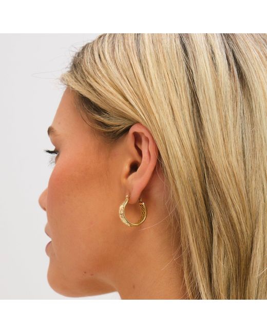 Jon Richard Metallic Textured Large Hoop Earrings