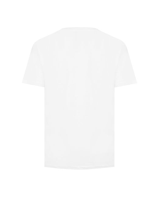 Champion Black Regular Fit Crewneck T-Shirt