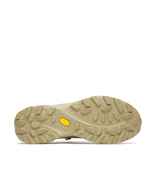 Merrell Brown Low-Top Trainers for men