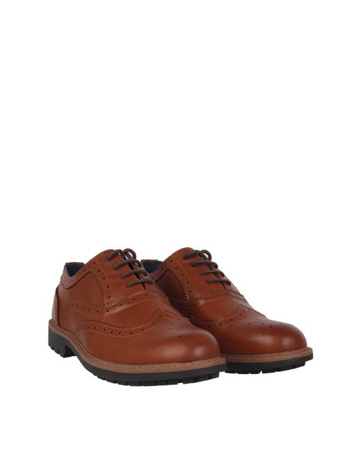 GIORGIO Brown Webster Shoe for men