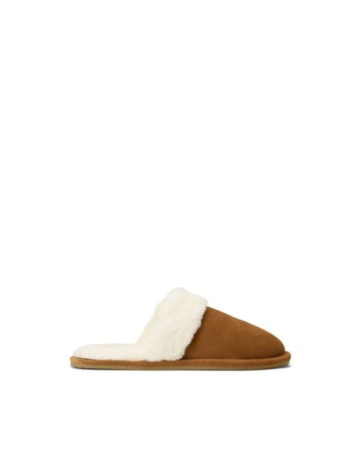Polo Ralph Lauren Brown Kelcie Mule Slippers