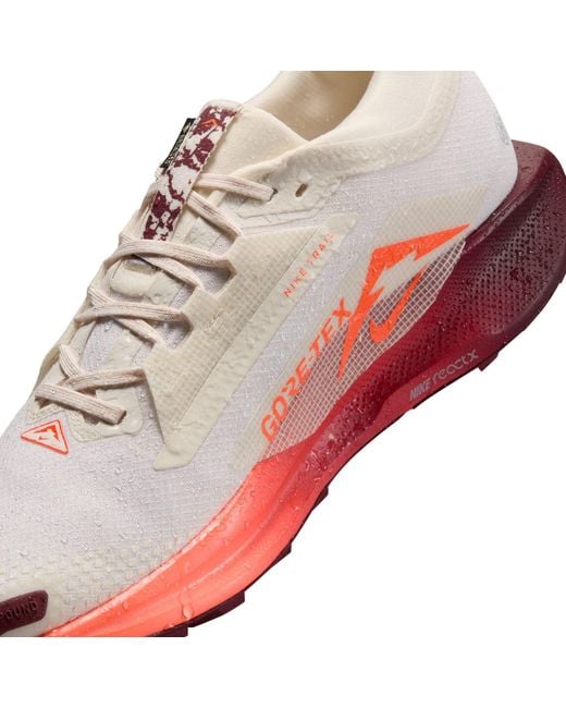 Nike Pink Pegasus Trail 5 Gore-Tex Running Shoes for men